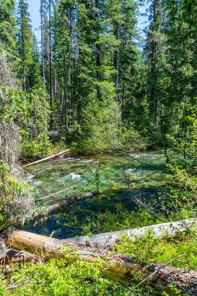 Pohled Křišťálově Čistý Potok Podél Průsmyku Chninook Státě Washington — Stock fotografie