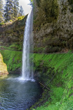 Oregon eyaletindeki Silver Falls Eyalet Parkı 'ndaki South Falls' un tam manzarası..
