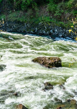 Whitewater Washington 'daki Snoqualmie Nehri' nde akıntıya kapıldı.