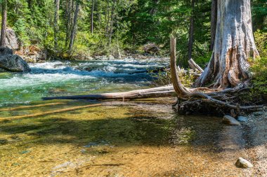 Washington 'daki Chninook Geçidi boyunca kristal berrak bir dere manzarası..