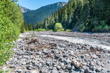 Washington 'daki Rainier Dağı' ndan akan Beyaz Nehir manzarası.