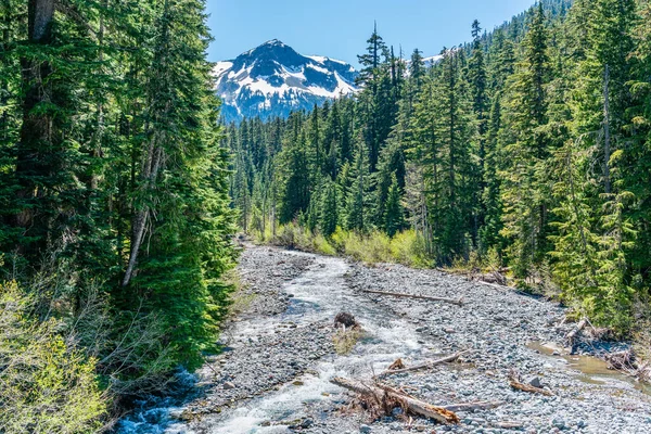 View White River Flowing Mount Rainier Washington State — Stock Photo, Image