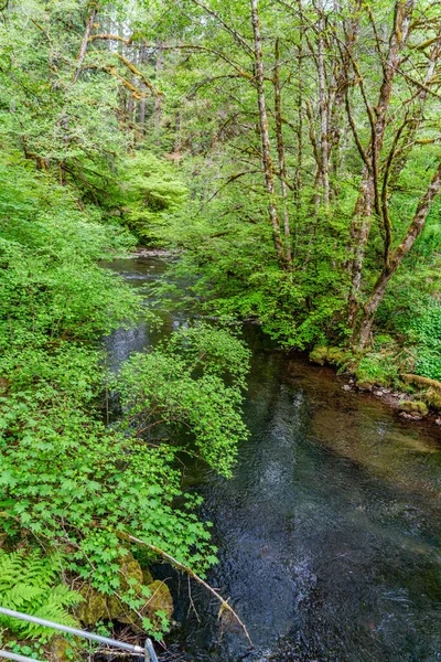 Oregon Daki Silver Falls Eyalet Parkı Ndaki Silvr Creek Manzara — Stok fotoğraf