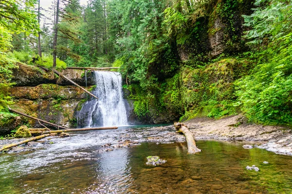 View Upper Notth Falls Silver Falls State Park Oregon State — Stock Photo, Image