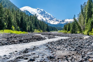 Washington 'daki Rainier Dağı' ndan akan Beyaz Nehir manzarası.