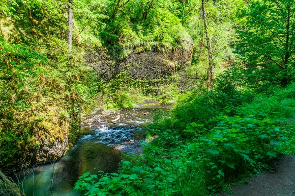Över Silver Creek För Ett Spår Silver Falls State Park — Stockfoto