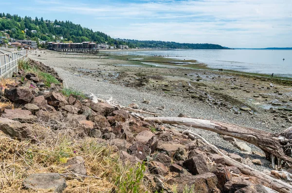 Häuser Entlang Der Küste Weest Seattle Washington Bei Ebbe — Stockfoto