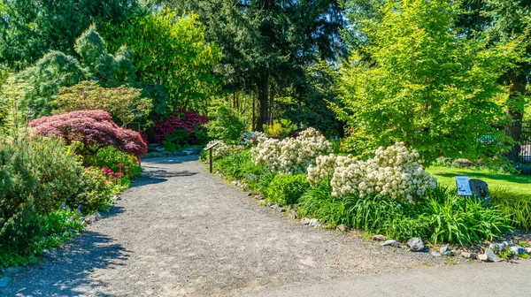 Flores Árboles Bordean Camino Jardín Seatac Washington —  Fotos de Stock
