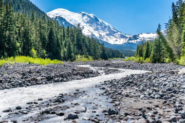 Washington 'daki Rainier Dağı' ndan akan Beyaz Nehir manzarası.