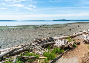 Batı Seattle kıyı şeridini en düşük gelgitle görmek.