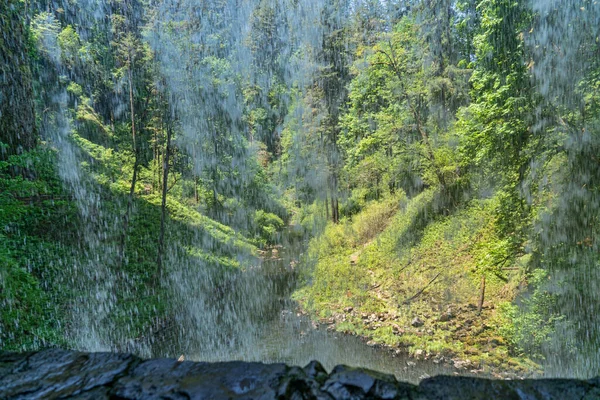 Вид Під Нижніх Південних Водоспадів Парку Срібних Водоспадів Штату Орегон — стокове фото