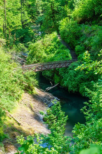 Ponte Piedi Lungo Canyon Trail Silver Falls State Park Oregon — Foto Stock