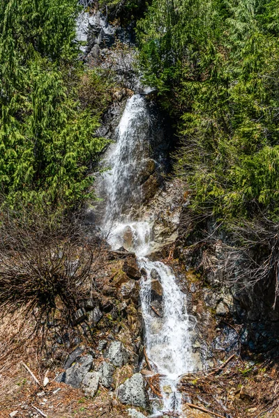 Вид Водопад Обочине Шоссе 410 Штате Вашингтон — стоковое фото