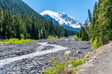 Washington 'daki Rainier Dağı' ndan akan Beyaz Nehir manzarası.