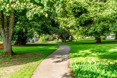 Salem, Oregon 'daki Capitol Park' ta ağaçlar ve çiçekler.