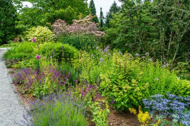 Bellevue, Washington 'da bir bahçede çiçeklerin iyi bir karışımı çiçek açar..