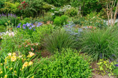 Bellevue, Washington 'da bir bahçede çiçeklerin iyi bir karışımı çiçek açar..