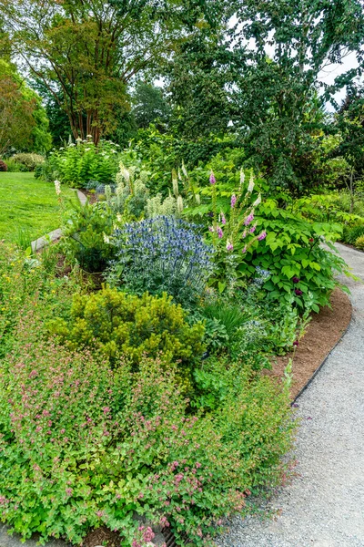 Sentier Serpente Devant Les Plantes Les Fleurs Dans Jardin Bellevue — Photo