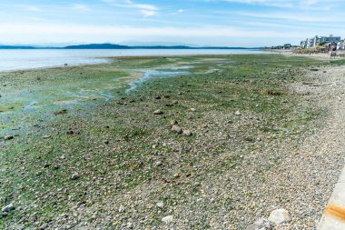 Batı Seattle kıyı şeridini son derece alçak bir gelgitle görmek.