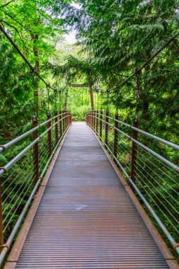 Bellevue, Washington 'da bir bahçede asma bir köprü..