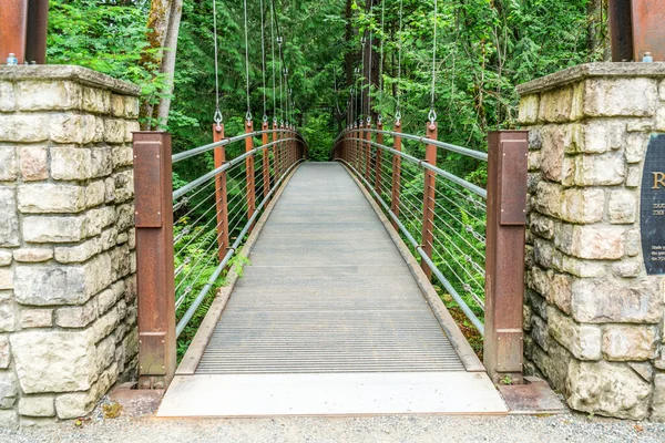 Pont Suspendu Dans Jardin Bellevue Washington — Photo