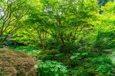 Batı Seattle, Washington 'da iki tekne kıyıya yanaştı..