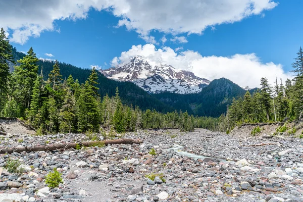 Uma Vista Das Rochas Ribeirinhas Monte Rainier Estado Washington — Fotografia de Stock