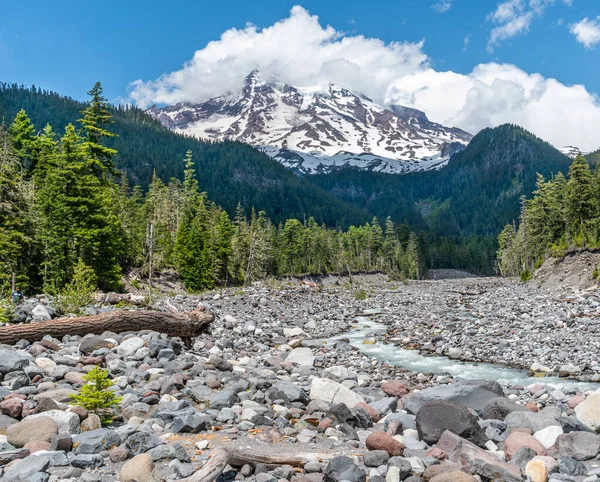 Uma Vista Das Rochas Ribeirinhas Monte Rainier Estado Washington — Fotografia de Stock