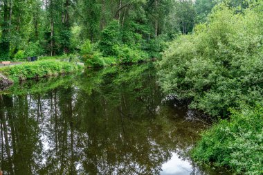 Washington, Bothell 'deki Sammamish Nehri' nin manzarası..