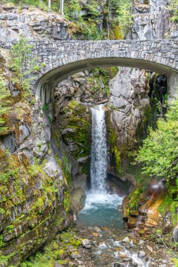 Washington 'daki Rainier Dağı' nın tepesinde bir şelale manzarası..