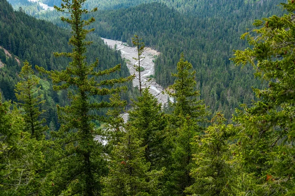View Mountain Valley Mount Rainier Washington State — Stock Photo, Image