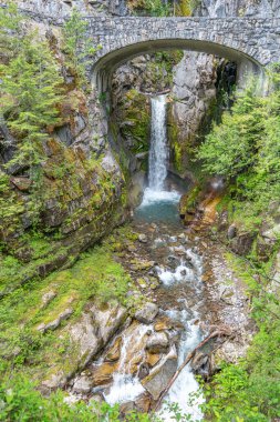 Washington 'daki Rainier Dağı' nın tepesinde bir şelale manzarası..