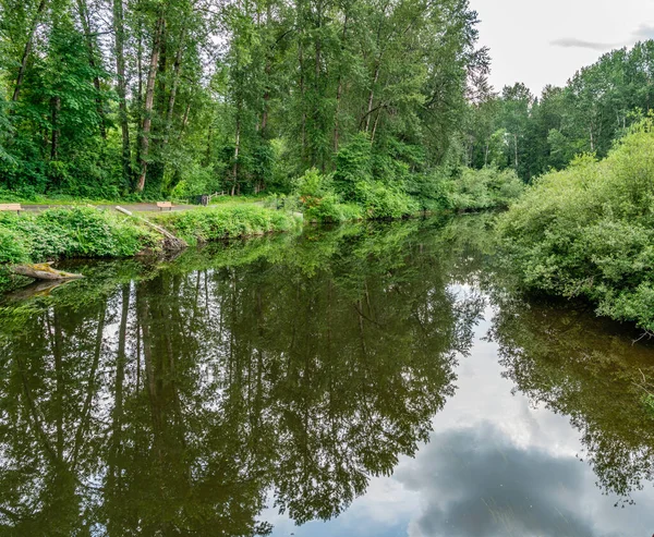 Eine Landschaftsaufnahme Des Sammamish River Bothell Washington — Stockfoto