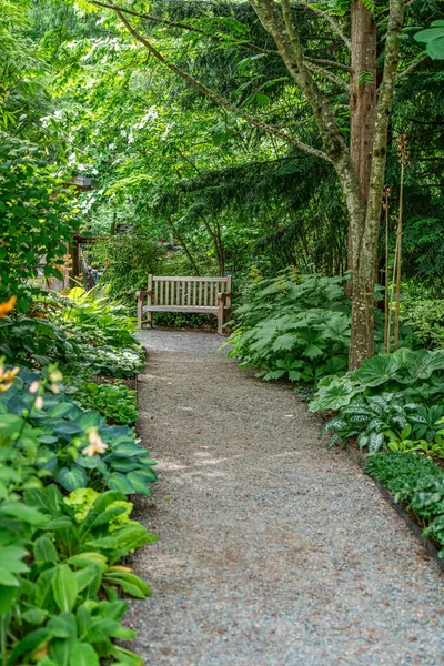 Sebuah Jalan Dengan Tanaman Sebuah Taman Bellevue Washington — Stok Foto