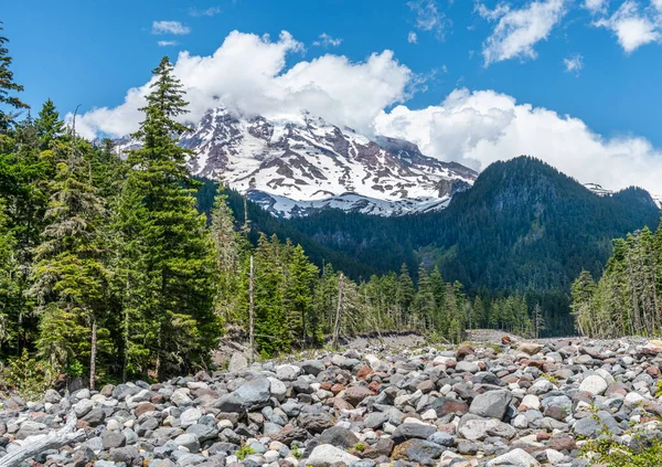 Kilátás Folyómeder Sziklák Mount Rainier Washington Állam — Stock Fotó