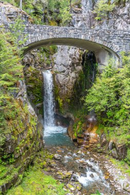 Washington 'daki Rainier Dağı' nın tepesinde bir şelale manzarası..