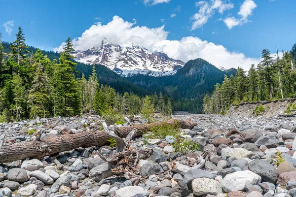 Blick Auf Flussbett Felsen Und Mount Rainier Bundesstaat Washington — Stockfoto