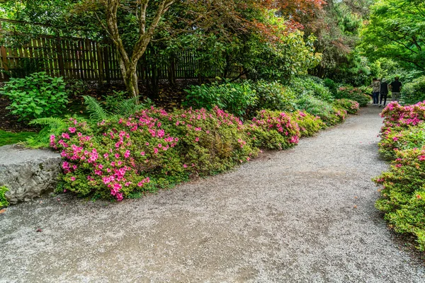 Красные Цветы Возле Дорожки Саду Белвью Штат Вашингтон — стоковое фото