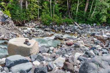 Whitewater, Washington 'da Rainier Dağı yakınlarındaki bir buzul nehrinde akın eder..