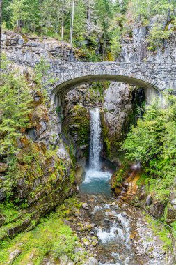 Washington 'daki Rainier Dağı' nın tepesinde bir şelale manzarası..
