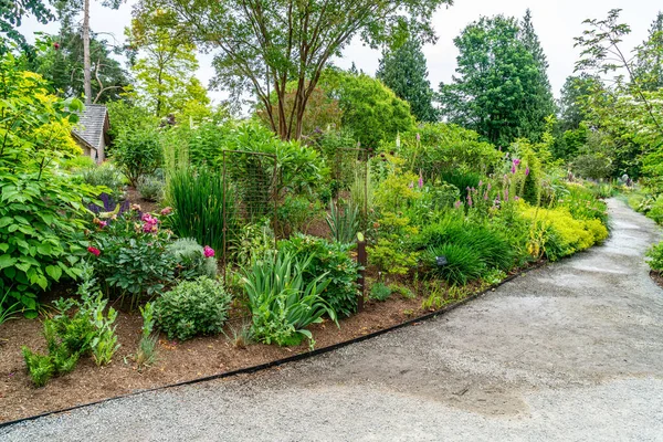 Ścieżka Wieje Obok Roślin Kwiatów Ogrodzie Bellevue Waszyngton — Zdjęcie stockowe