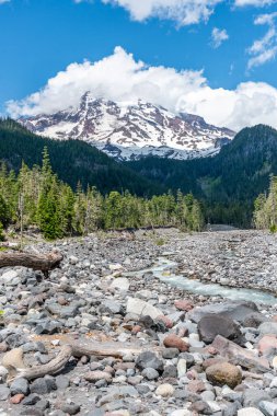 Washington 'da nehir yatağı kayaları ve Rainier Dağı manzarası.
