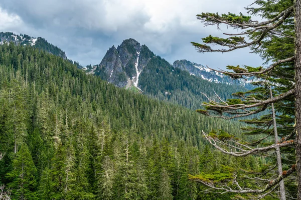 Ein Blick Auf Die Cascade Mountain Range Vom Mount Rainier — Stockfoto