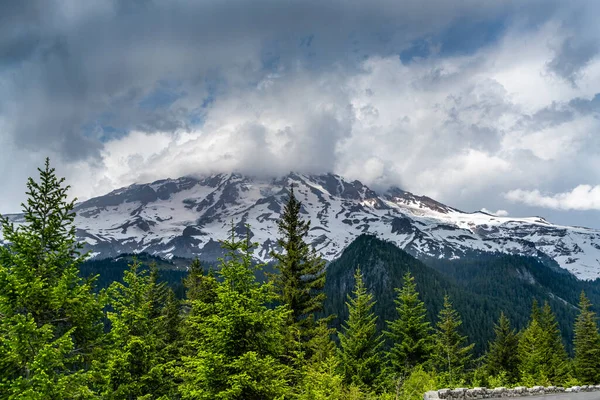 Una Vista Árboles Siempreverdes Con Monte Rainier Distancia — Foto de Stock