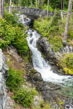 Washington 'da Rainier Dağı yakınlarında bir şelale manzarası.