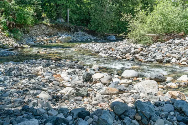 Acqua Limpida Montagna Scorre Sulle Rocce Denny Creek Nello Stato — Foto Stock