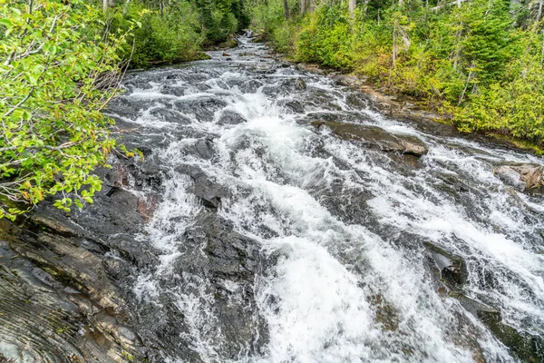 Una Vista Río Que Corre Cerca Del Monte Rainier Estado — Foto de Stock