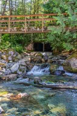 Washington 'da Snoiqualmie Geçidi yakınlarında kayalık bir fare deresinin manzarası..
