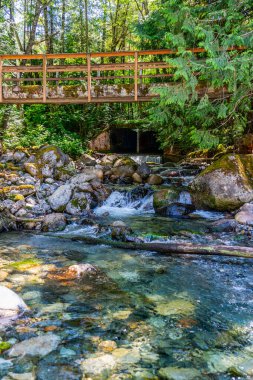 Washington 'da Snoiqualmie Geçidi yakınlarında kayalık bir fare deresinin manzarası..