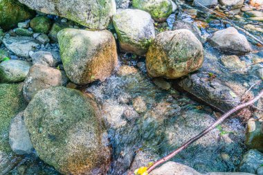 Washington 'daki Snoiqualmie Geçidi' nin yakınlarındaki kayalık bir nehir manzarası..